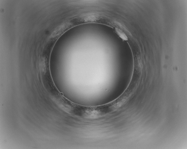 X0000073900311200608111137