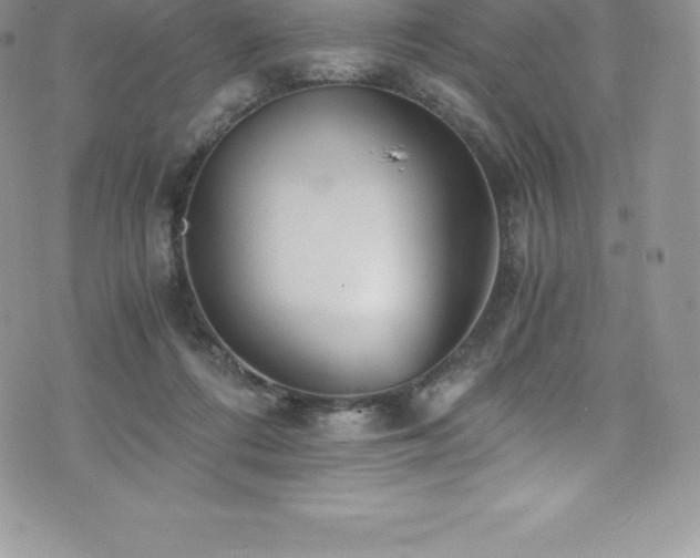 X0000073900312200608111137