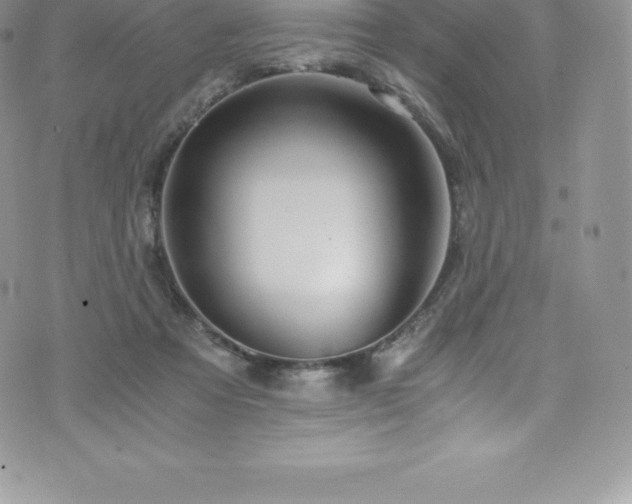 X0000073900313200608111137