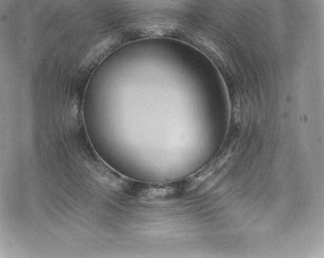 X0000073900314200608111137