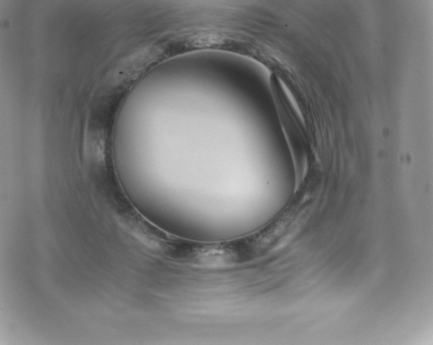 X0000073900315200608111137