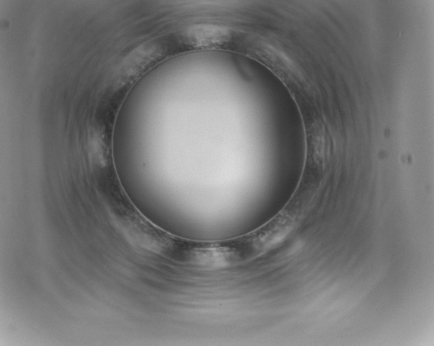 X0000073900316200608111137