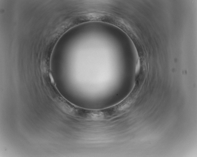 X0000073900317200608111137