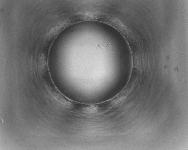 X0000073900318200608111136