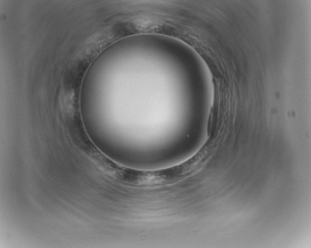 X0000073900319200608111136