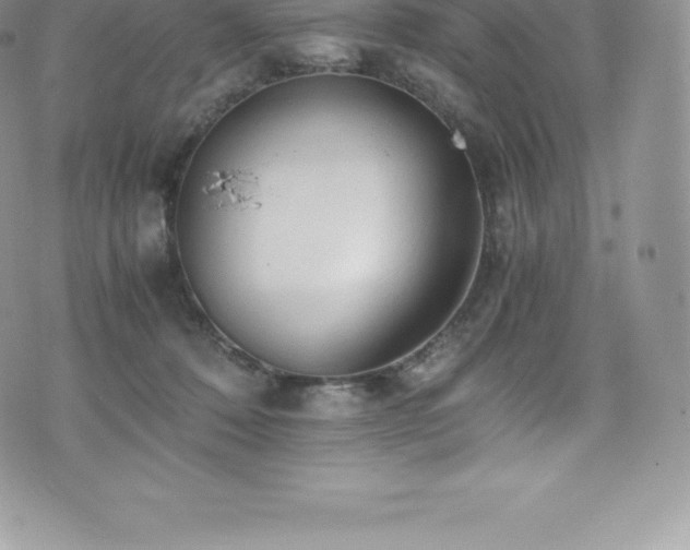 X0000073900320200608111136