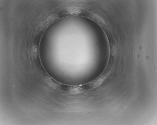 X0000073900321200608111136