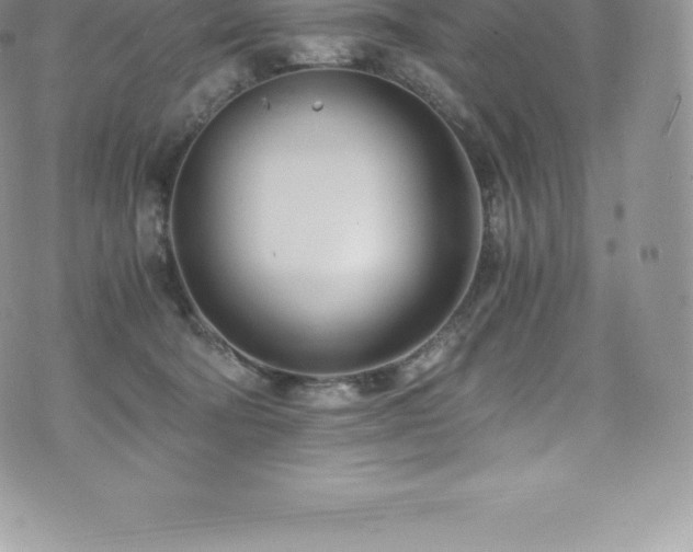 X0000073900322200608111136