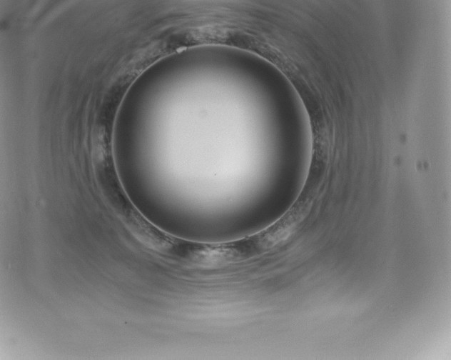 X0000073900323200608111136