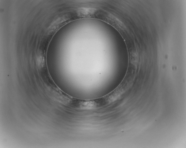 X0000073900324200608111136