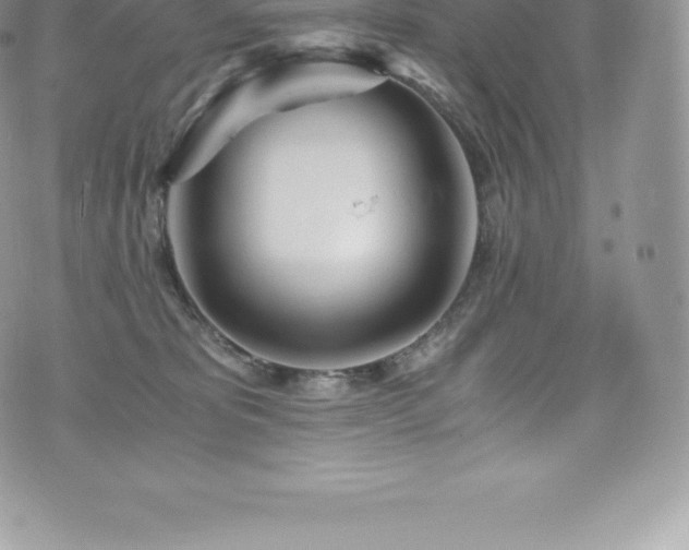 X0000073900325200608111136