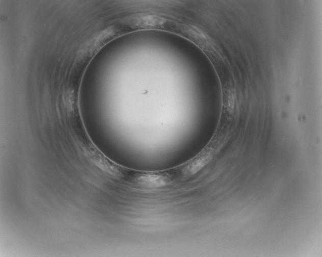 X0000073900326200608111136