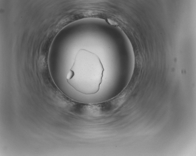 X0000073900327200608111136