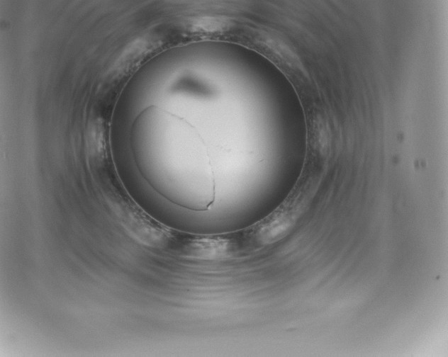 X0000073900328200608111136