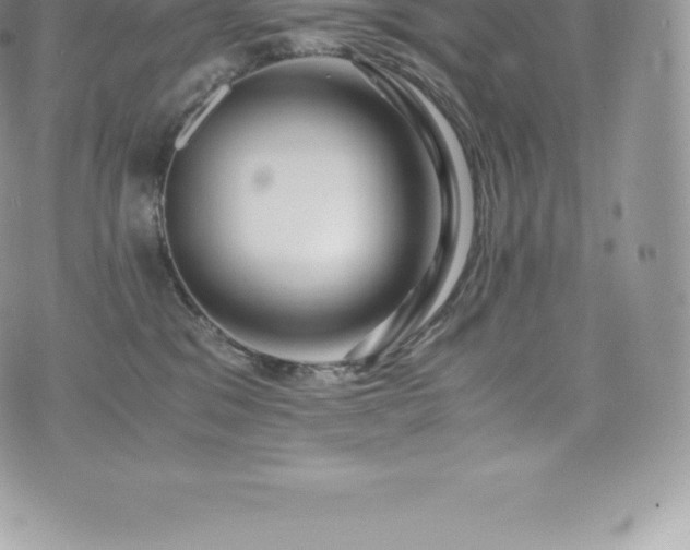 X0000073900329200608111136