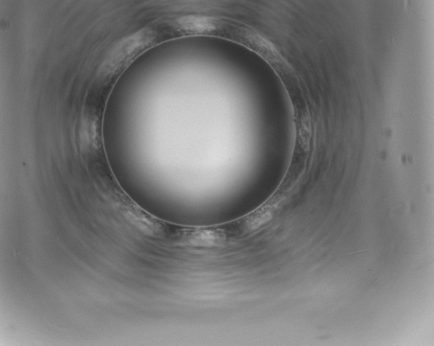 X0000073900330200608111136