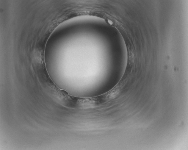 X0000073900331200608111136