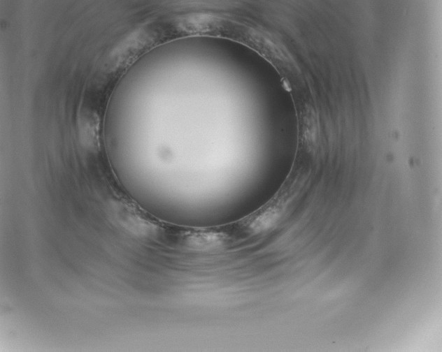 X0000073900332200608111136