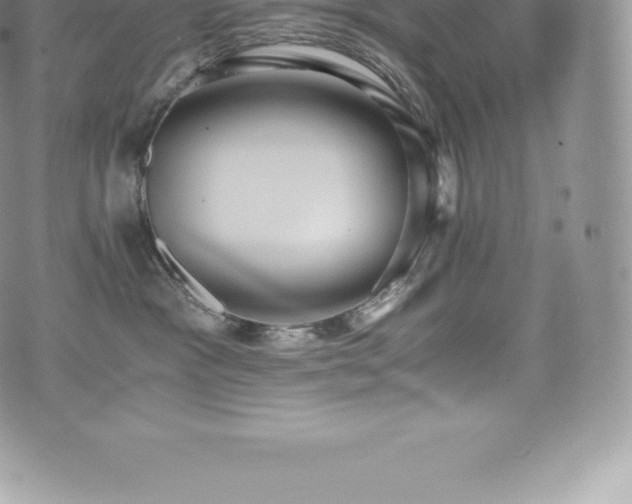 X0000073900333200608111136