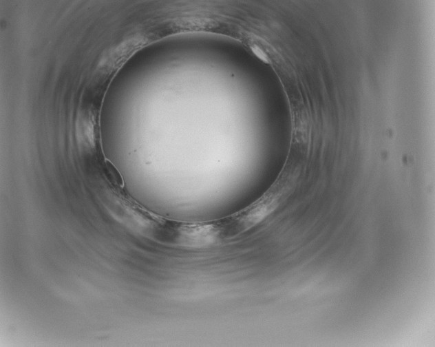 X0000073900334200608111136