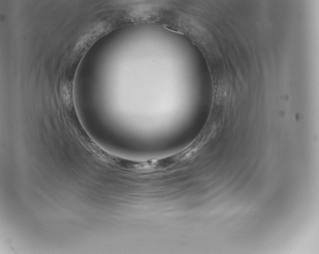 X0000073900335200608111136