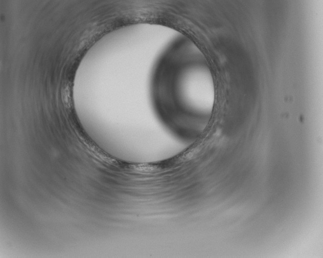 X0000073900336200608111136