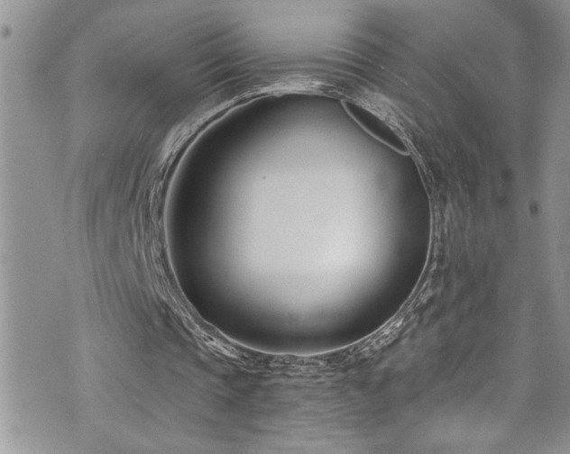 X0000073900337200608111135