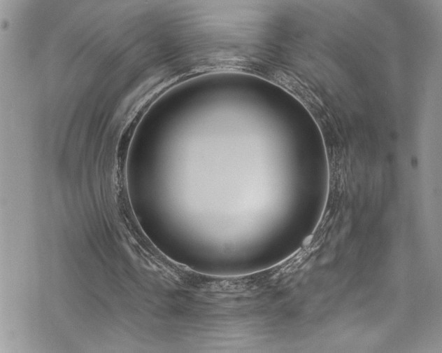 X0000073900338200608111135