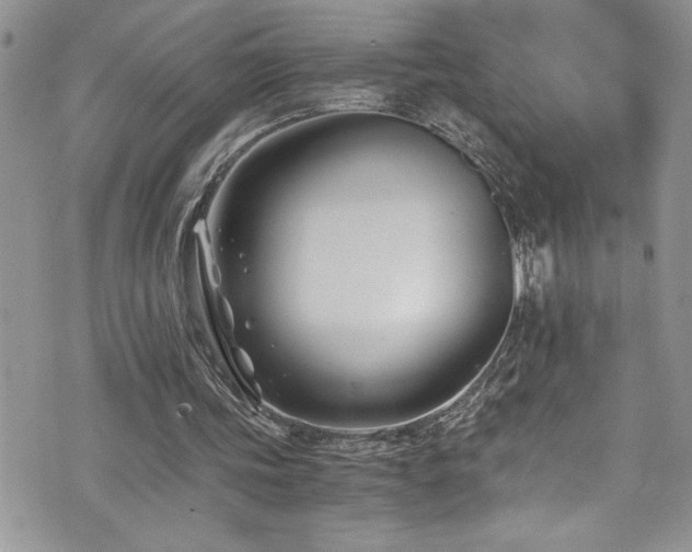 X0000073900339200608111135