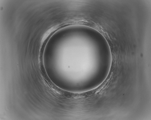 X0000073900340200608111135