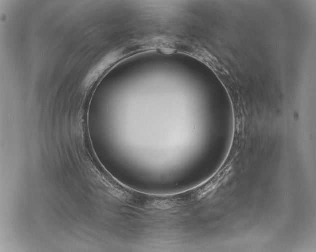 X0000073900341200608111135