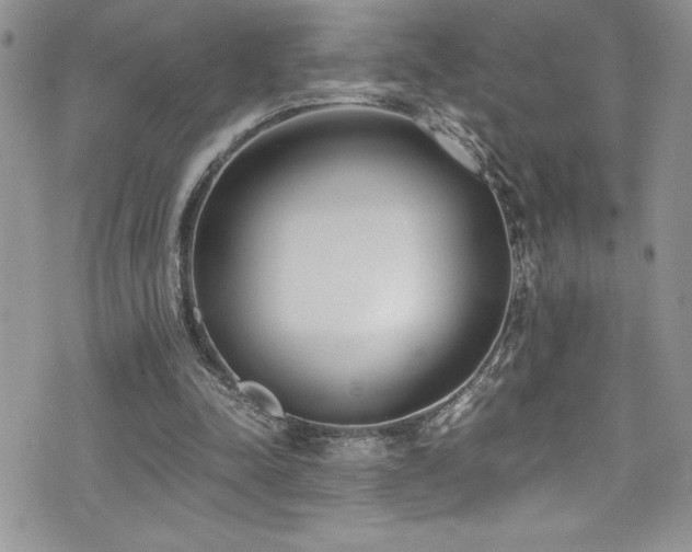 X0000073900342200608111135