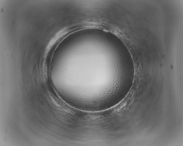 X0000073900343200608111136