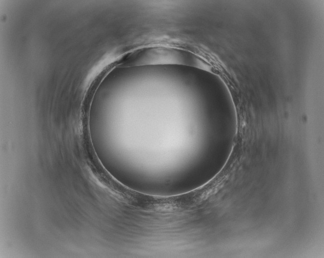 X0000073900344200608111136