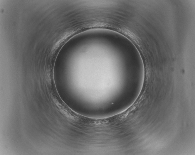 X0000073900345200608111136