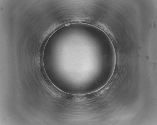 X0000073900346200608111136