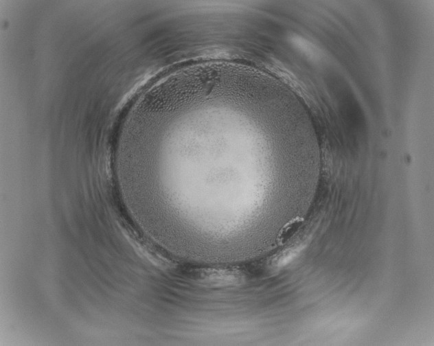 X0000073900347200608111136