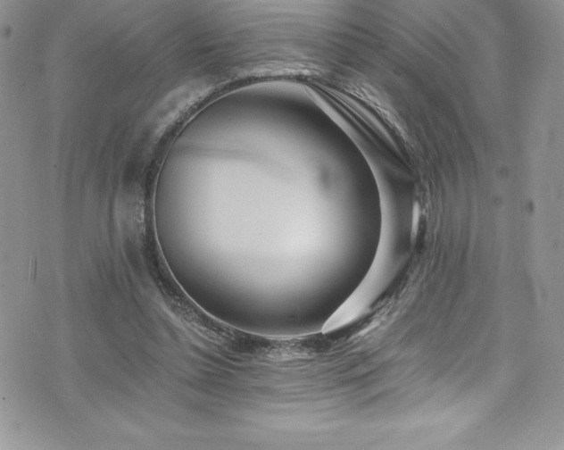 X0000073900348200608111136