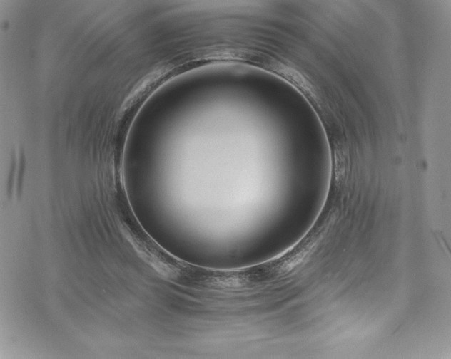 X0000073900349200608111136