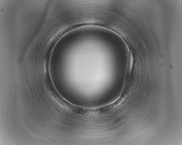 X0000073900350200608111136