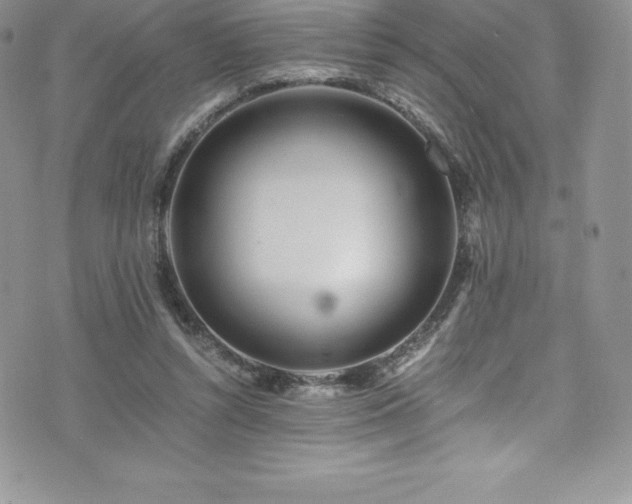 X0000073900352200608111136