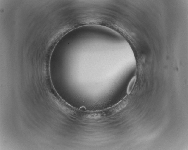 X0000073900353200608111136