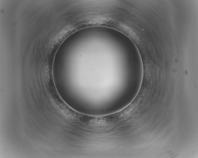 X0000073900354200608111136