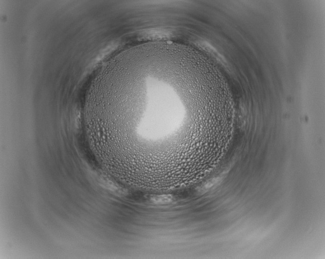 X0000073900355200608111136