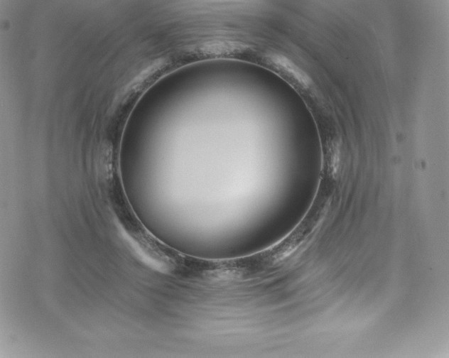 X0000073900356200608111136