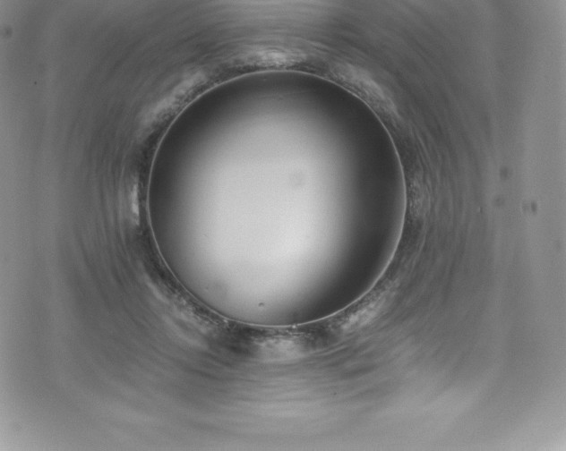 X0000073900358200608111136