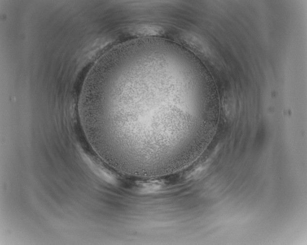 X0000073900359200608111136