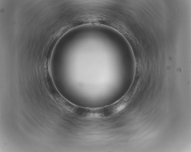 X0000073900360200608111136