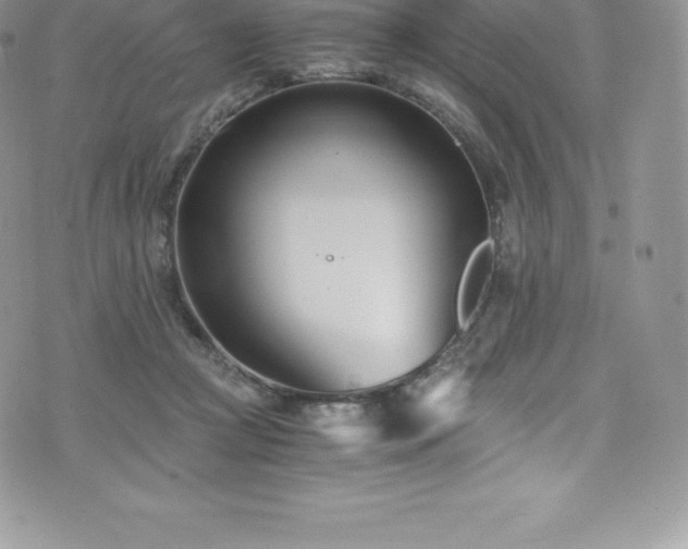 X0000073900361200608111136