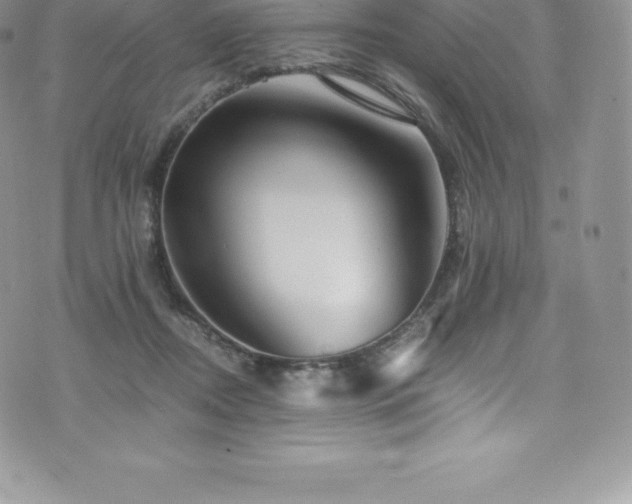 X0000073900362200608111136